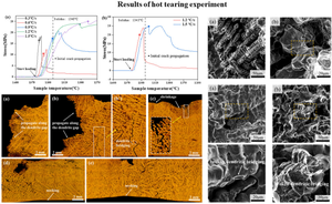 Hot Tearing of Fe-18Mn-0.6C-2.6Al High Manganese Steel