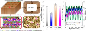 Improving fast-growing poplar wood with furfuryl alcohol and a hyperbranched polymer