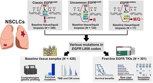 Outcomes in non-small cell lung cancer with uncommon epidermal growth factor receptor L858 substitutions under first-line epidermal growth factor receptor tyrosine kinase inhibitors: A large real-world cohort study