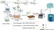 Preparation and adsorption properties of cotton linters and coal-gangue-based cellulose/SiO2 composite aerogels