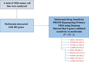 Repurposing metformin as a potential anticancer agent using in silico technique.