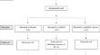 Probiotic-Reduced Inflammaging in Older Adults: A Randomized, Double-Blind, Placebo-Controlled Trial.