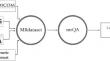 Solving the Pervasive Problem of Protocol Non-Compliance in MRI using an Open-Source tool mrQA.