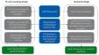 Professional learning for preservice science teachers: shifts in self-regulated learning practices and questioning skills