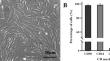 Formation of ovarian organoid by co-culture of human endometrial mesenchymal stem cells and mouse oocyte in 3-dimensional culture system