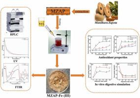 Preparation, antioxidant activity and in vitro digestion of Manilkara zapota alkali-soluble polysaccharide-Fe (Ⅲ) complex