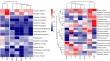 Evaluating the effect of manual hoeing and chemical weed management practices on the productivity and profitability of dry bean (Phaseolus vulgaris L.) in the south-eastern zone of the DR Congo