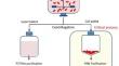 Extraction of the outer membrane protein pertactin from Bordetella pertussis with urea for the production of acellular pertussis vaccine