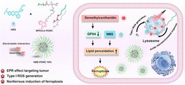 Charge-reversal polymeric nanomodulators for ferroptosis-enhanced photodynamic therapy†