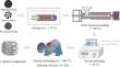 Exploring the Potential of MIM-Manufactured Porous NiTi as a Vascular Drug Delivery Material