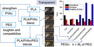 Polylactide/polyvinyl acetate blends containing different molecular weights of poly(ethylene glycol)