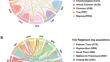 Small but Mighty: Genetic Diversity of the Thai Ridgeback Dog Population.