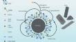 Surfactant-modified SiO2/FeS nanocomposites for remediation of cadmium pollution