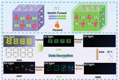 Chiral Self-Discrimination Induced Luminescence Vapochromism of Binaphthol Imides for Anti-Counterfeiting and Data Encryption