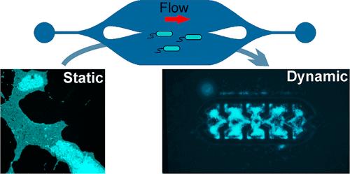 Microfluidic Platform with Precisely Controlled Hydrodynamic Parameters and Integrated Features for Generation of Microvortices to Accurately Form and Monitor Biofilms in Flow