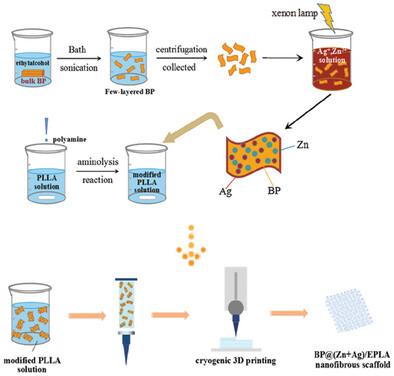 Functionalized BP@(Zn+Ag)/EPLA Nanofibrous Scaffolds Fabricated by Cryogenic 3D Printing for Bone Tissue Engineering.