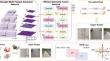 LMFE-RDD: a road damage detector with a lightweight multi-feature extraction network