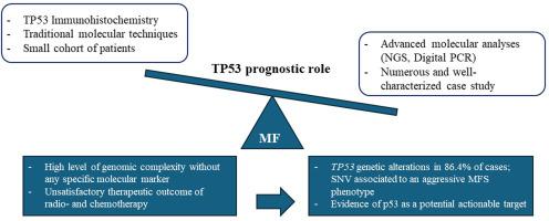 p53 as a Potential Actionable Target in Myxofibrosarcoma: A Molecular and Pathologic Review of a Single-Institute Series