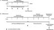 Effect of exercise duration on toluene-induced locomotor sensitization in mice: a focus on the Renin Angiotensin System.