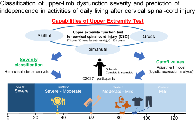 Classification of upper-limb dysfunction severity and prediction of independence in activities of daily living after cervical spinal-cord injury