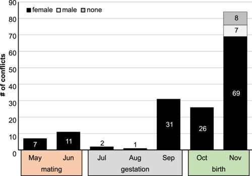 Evidence for female dominance in the Milne-Edwards' sportive lemur (Lepilemur edwardsi)