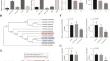 Functional Characterization of Chinese Cabbage BrCML49 Gene in Pollen Germination and Pollen Tube Elongation and the Regulation of Ca2+-Mediated Self-Incompatibility Response