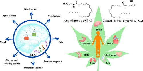 Advancement of Research Progress on Synthesis Mechanism of Cannabidiol (CBD)