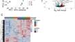 Transcriptional response of Arabidopsis thaliana's root-tip to spaceflight.