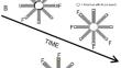 Replay of incidentally encoded novel odors in the rat