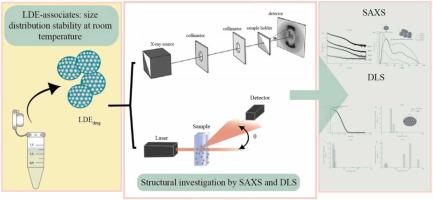 Structural characterization of cholesterol-rich nanoemulsion (LDE)