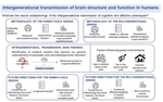 Intergenerational transmission of brain structure and function in humans: a narrative review of designs, methods, and findings.