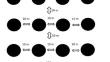 Reassembly of ground-dwelling ant communities in reforestation plots in SW Costa Rica