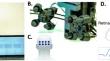 Portable multi-focal visual evoked potential diagnostics for multiple sclerosis/optic neuritis patients.