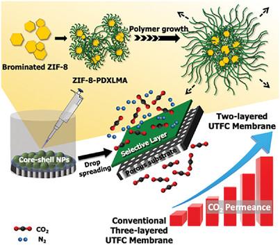 Unveiling the Potential: Core-Shell Nanoparticles Assembly of Metal-Organic Framework@poly(1,3-dioxolane) Methacrylate for Gutter-Layer-Free Ultrathin Film Composite Membranes