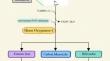 The role and mechanism of heme oxygenase-1 in arrhythmias.