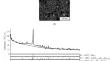 Substitution of Low-Calcium Fly Ash for Partial Portland Cement in Underground Backfilling Mining