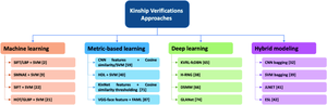 A review on kinship verification from facial information