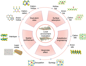 Local environment regulation of transition metal dichalcogenide-based single-atom catalysts