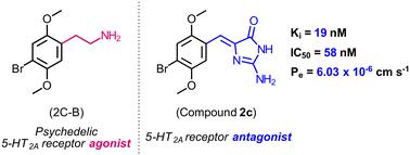 Synthesis and in vitro evaluation of novel amino-phenylmethylene-imidazolone 5-HT2A receptor antagonists†