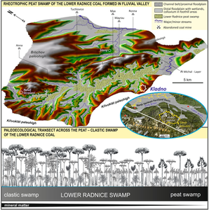 Paleoenvironment and vegetational history of a Middle Pennsylvanian intramontane peat swamp: an example from the Lower Radnice Coal, Kladno coalfield (Czech Republic)