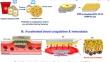 Platelet-Rich Plasma-Embedded Porous Polycaprolactone Film with a Large Surface Area for Effective Hemostasis.