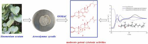 Two new steroids with cytotoxicities from fungus Acrocalymma cycadis