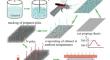 Effect of SWCNT Deposition by Spraying Technique on Mechanical Properties and Electrical Conductivity of Peek Laminates