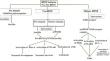 Role of Brain Derived Neurotrophic Factor and Related Therapeutic Strategies in Central Post-Stroke Pain