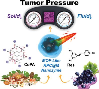 Natural MOF-Like Photocatalytic Nanozymes Alleviate Tumor Pressure for Enhanced Nanodrug Penetration.