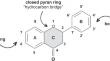 Hot Melt Extrusion Technology as a Modern Strategy for Improving the Bioavailability of Flavonoids