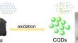 Coal-derived fluorescent carbon quantum dots for sensitive and selective detection of Cu2+ and Fe3+