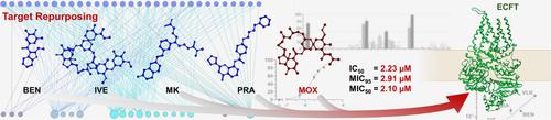 Target repurposing unravels avermectins and derivatives as novel antibiotics inhibiting energy-coupling factor transporters (ECFTs)