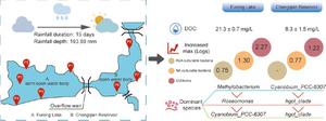 The variation of microbiological characteristics in surface waters during persistent precipitation