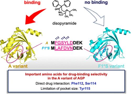 Contribution of Phe112, Ser114, and Tyr115 to Drug-Binding Selectivity in the A Variant of α<sub>1</sub>-Acid Glycoprotein.